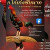 ก.ไก่เก่งชัยนาท