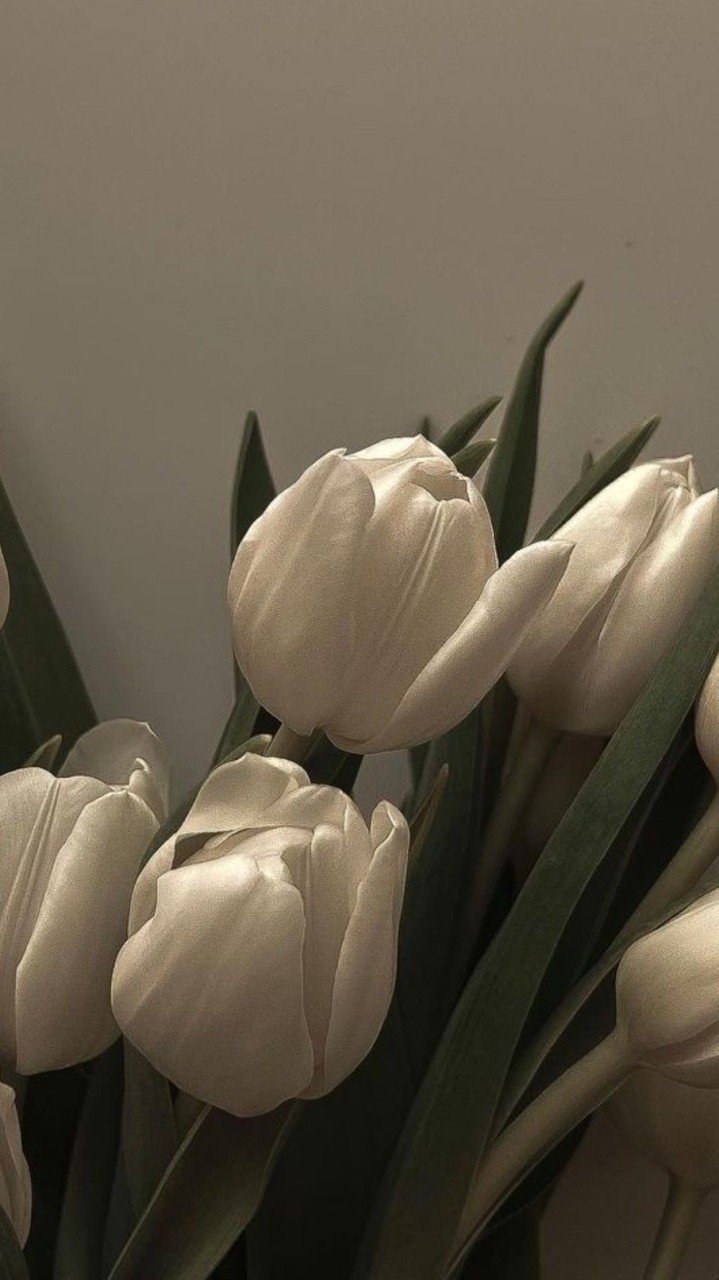 🌷本事美眉專區🌷