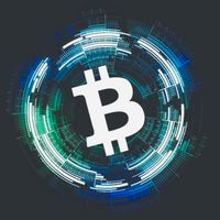 仮想通貨ルーム【1LDK】