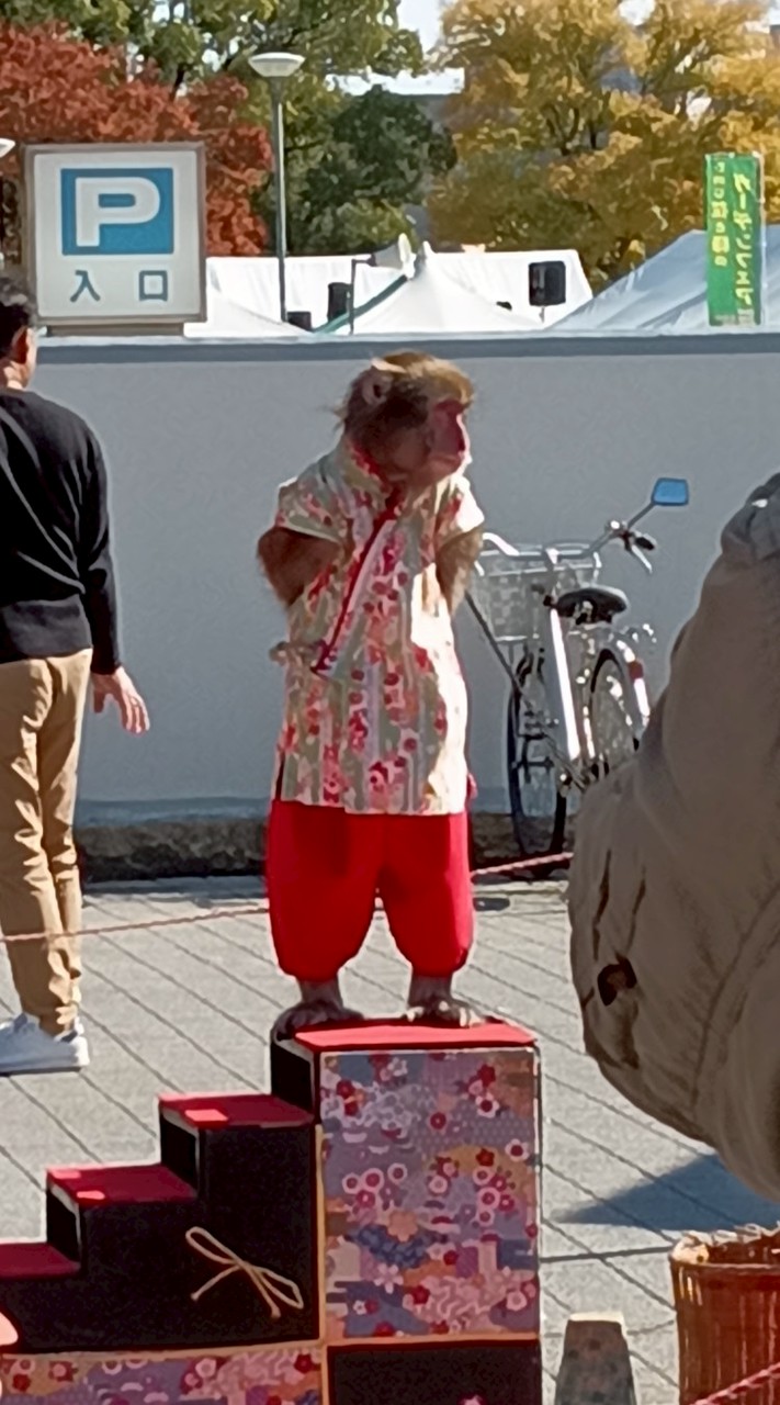 新中2カモン!男女問わずゲームやお喋りライブトークも!