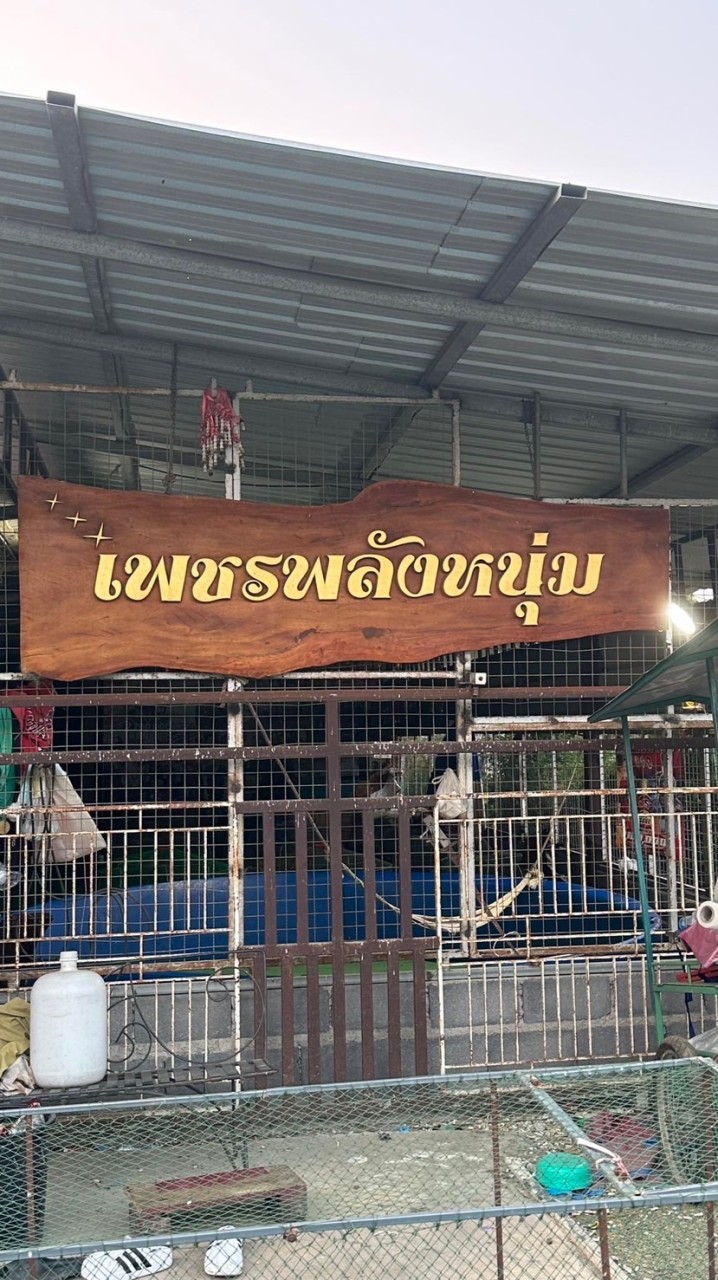 ซุ้ม เพชรพลังหนุ่ม