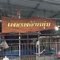ซุ้ม เพชรพลังหนุ่ม
