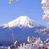 顕正会破折
