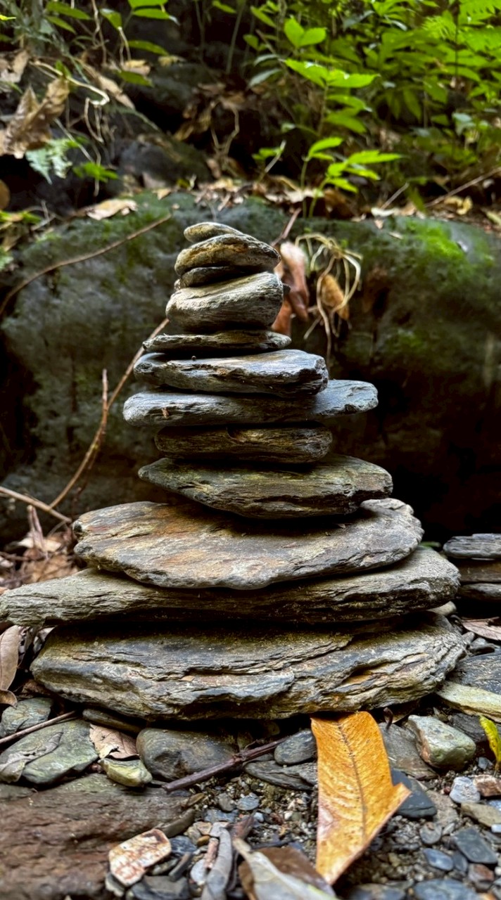 👱‍♂️👱‍♀️一起玩到80歲👵🧓