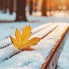 龍之谷經典再現-慕雪流楓