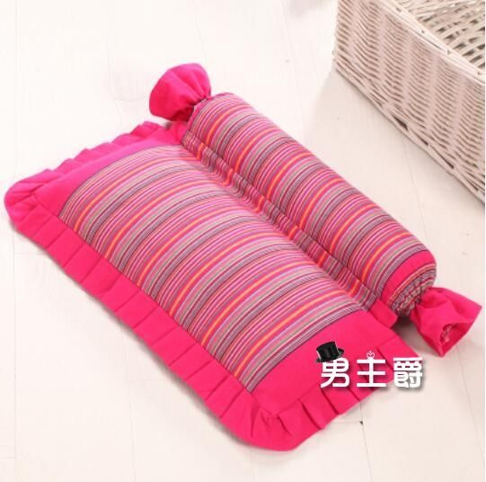 枕頭 頸椎枕芯專用蕎麥枕成人護頸枕單人枕芯XW