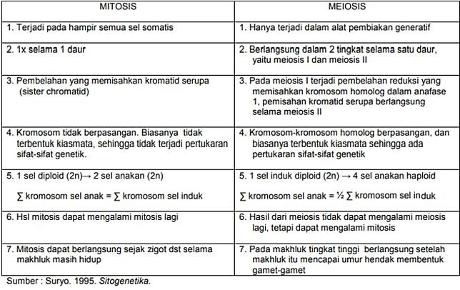 Kenali Perbedaan Mitosis Dan Meiosis Pada Makhluk Hidup Berikut Penjelasannya Merdeka Com Line Today