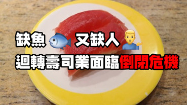 不夠魚也不夠人，迴轉壽司業面臨倒閉危機