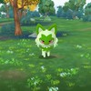 ポケGo民集まれー《雑談》