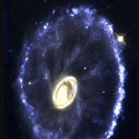 ⭐戲說占星！星盤交流 💫