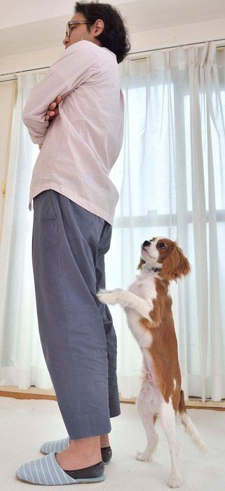 吠えにくい犬 に育てるために 今日からできること