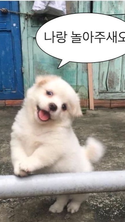 용용韓國代購🇰🇷