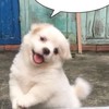 용용韓國代購🇰🇷