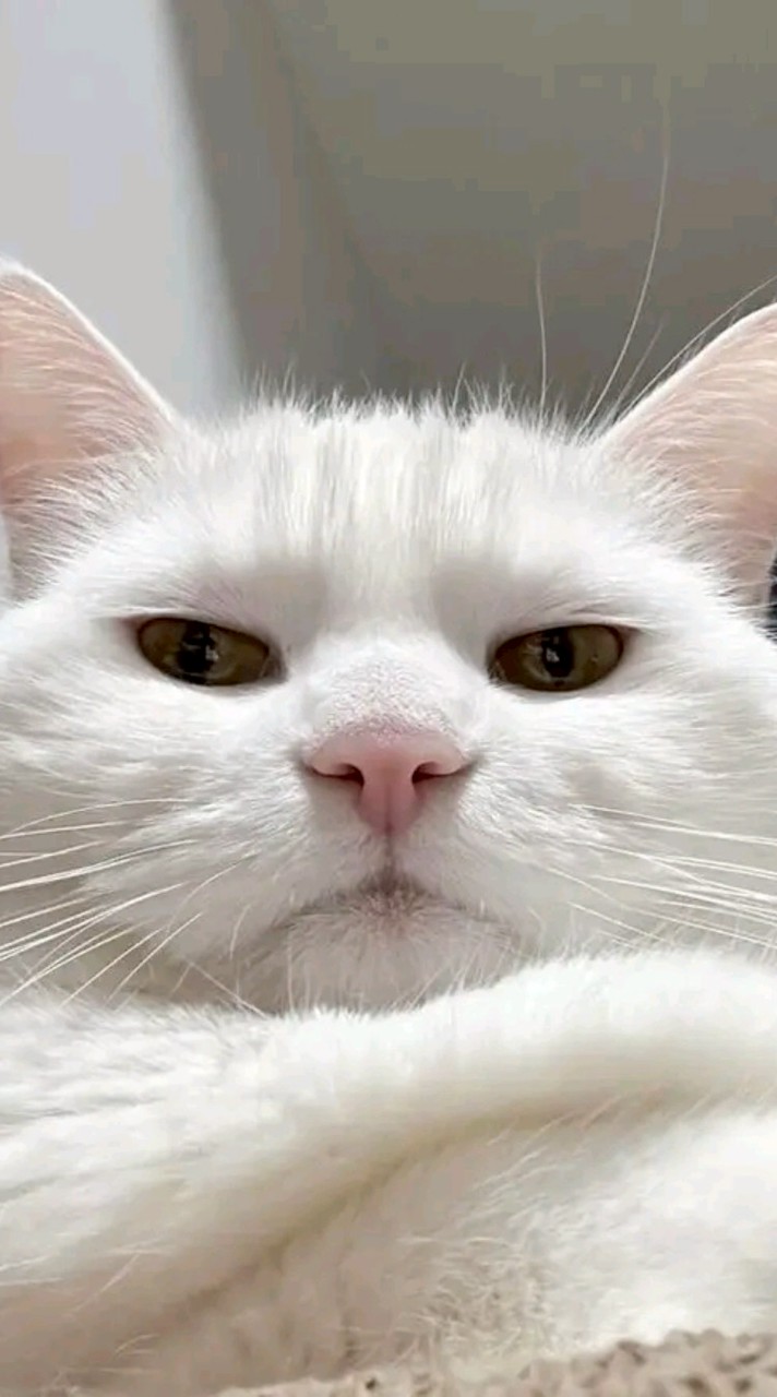 อยากคุย อยากรู้จักสาวมีอายุ35-40ครับเข้ามาคุยกันครับ