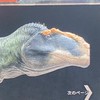 Potを楽しもう誰でも歓迎