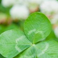 精神疾患ママの居場所