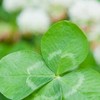 精神疾患ママの居場所