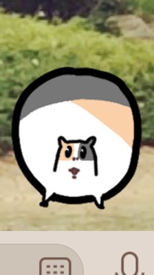 OpenChat モルモットの画像を無言で投稿するチャット