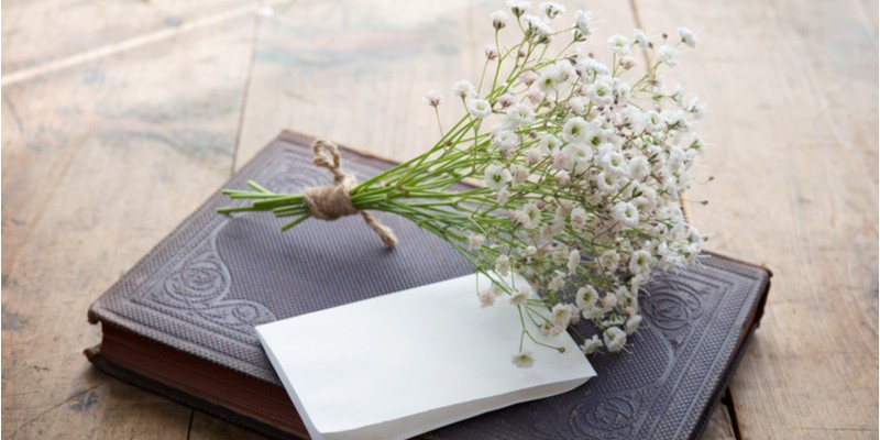 カスミソウ の花言葉に怖い意味はある 結婚式にぴったり その特徴も紹介 Oggi