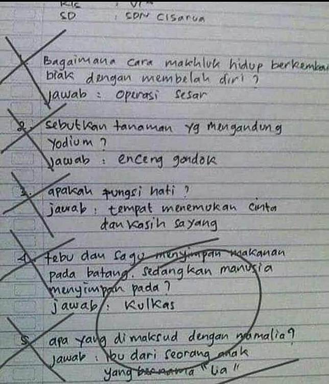 35+ Anak yang menjawab soal asal asalan information