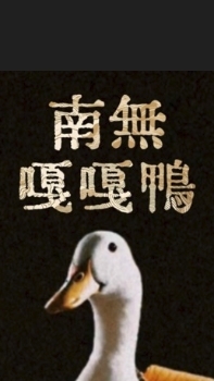 維京耍流氓