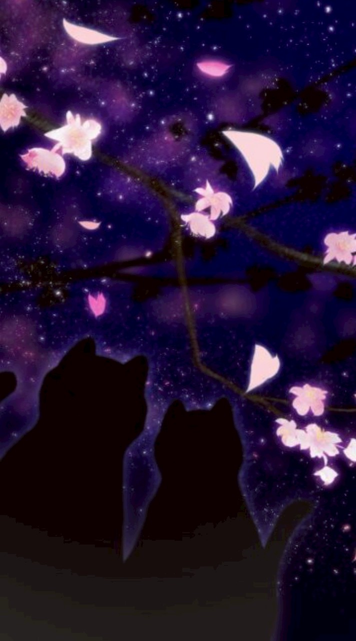 化猫本丸[刀剣乱舞也]