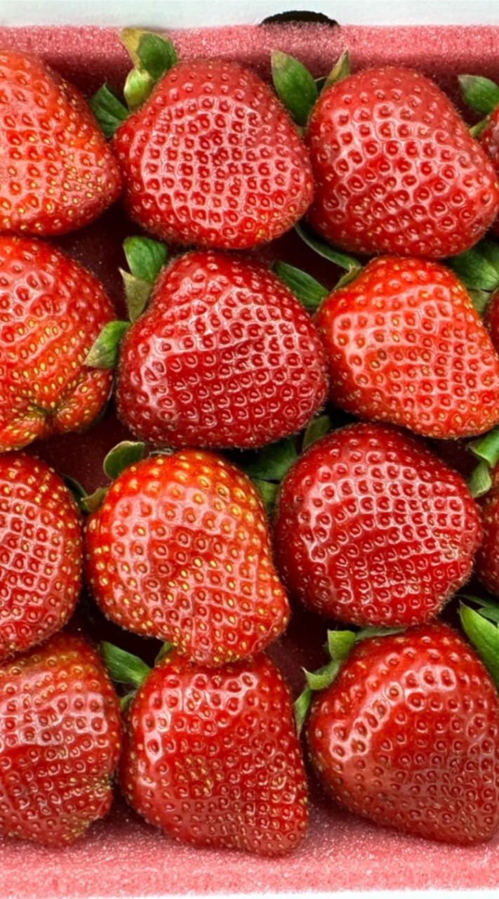 撩起來＆ 愛分享🍓