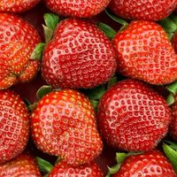 撩起來＆ 愛分享🍓