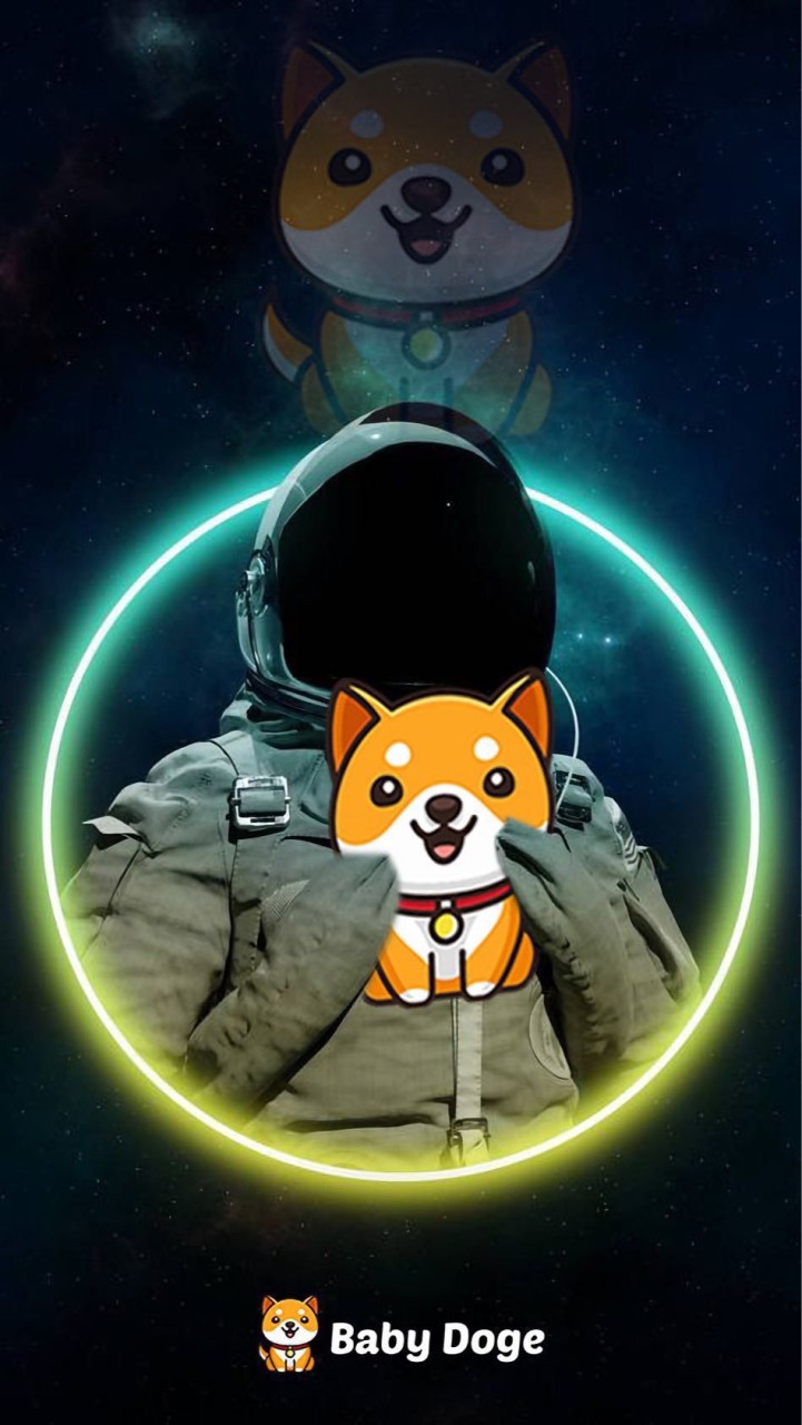 OpenChat Baby Doge Coin《ベイビードージコイン》