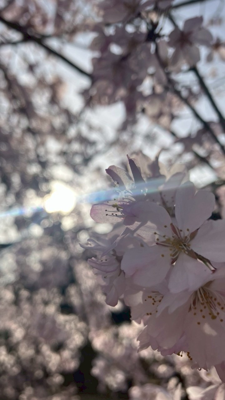 なんでも雑談！暇な人でも忙しい人でもうぇるかむ！