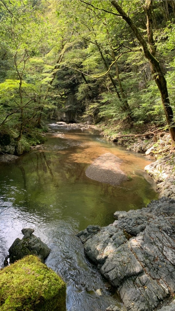 理系理科生物科のオープンチャット