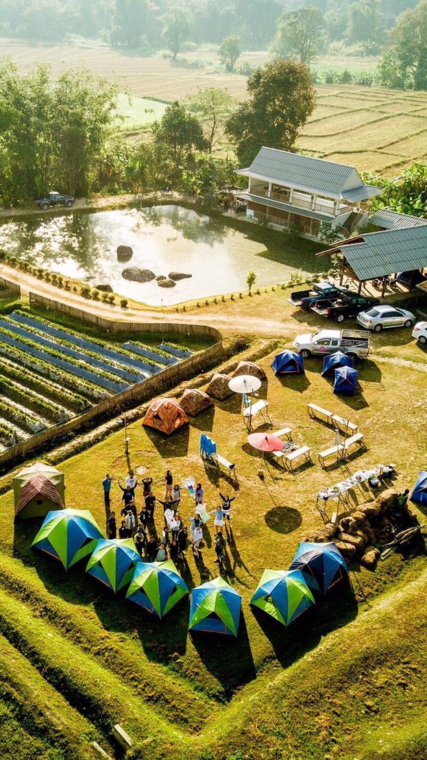 สวนบัวชมพู ณ จอมคีรี Organic Agriculture
