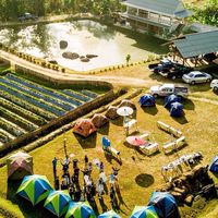 สวนบัวชมพู ณ จอมคีรี Organic Agriculture