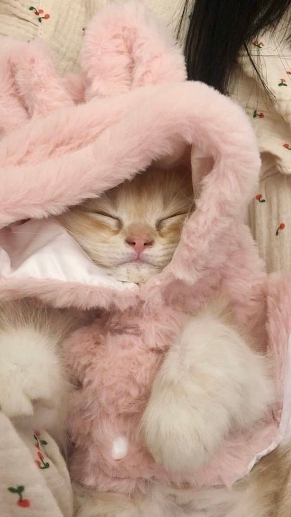 Marcie songtorrr 💓🌈