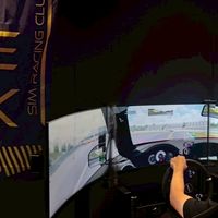 HGR DRIVER SELECTION SIM TO REAL