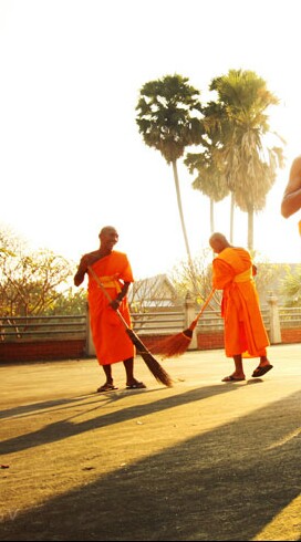 Monk WDC