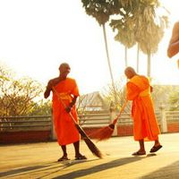 Monk WDC