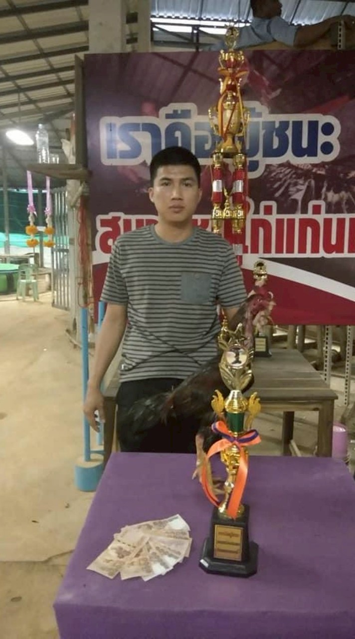 ซุ้ม ศรนารายณ์ ไก่ชน