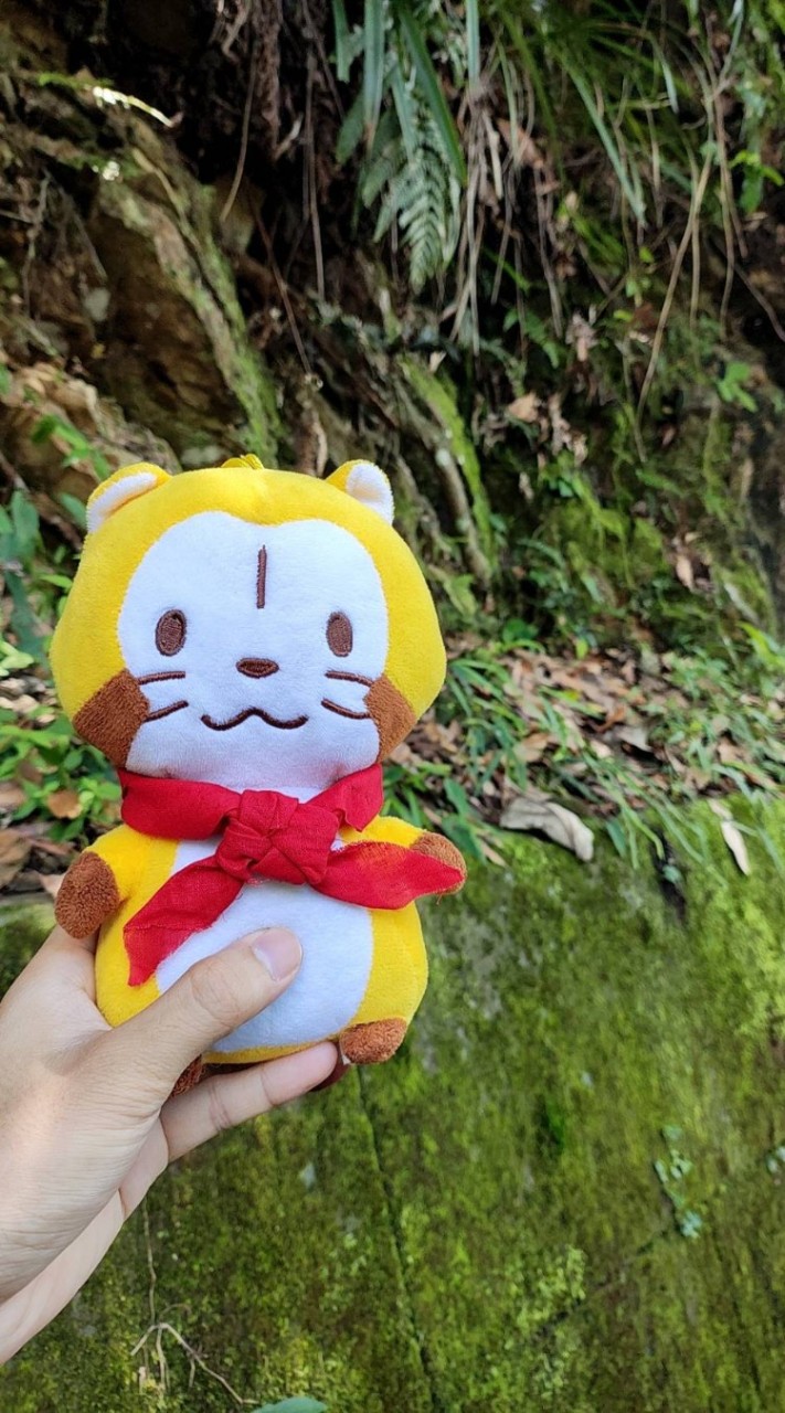 野小獸的棲息地⚜️