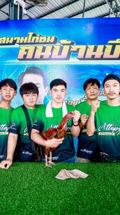 ส.ปริญญาไก่ชน