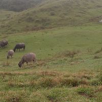 登山學校sweet home