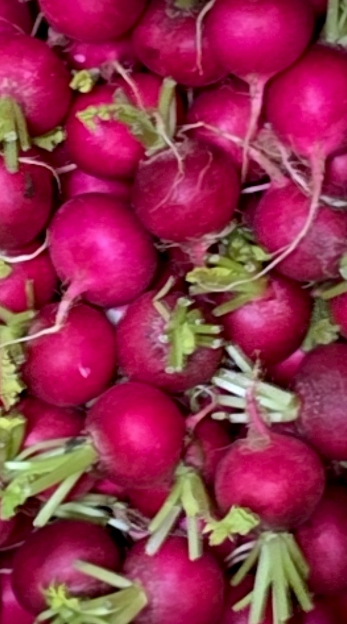 愛菜蔓延中（高山稀有蔬菜*香料*萵苣生菜）
