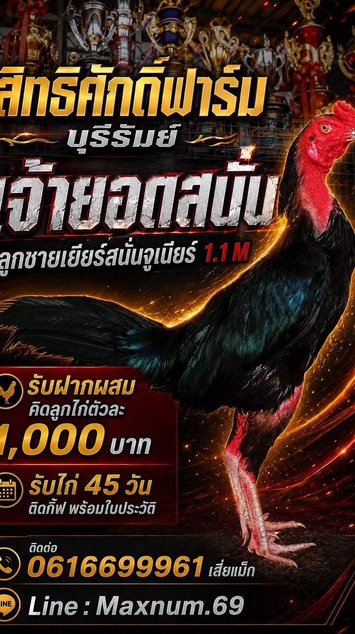 สิทธิศักดิ์ฟาร์ม บุรีรัมย์