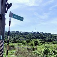 大溪內柵國小旁農地