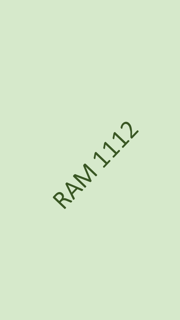 RAM1112