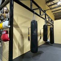 Tiger GYM Community