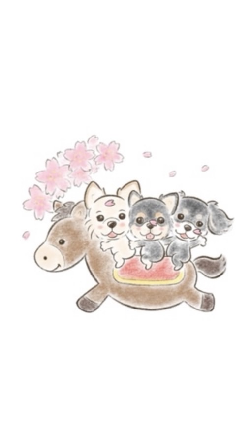 らぽちゃんねる。韓国編🇰🇷