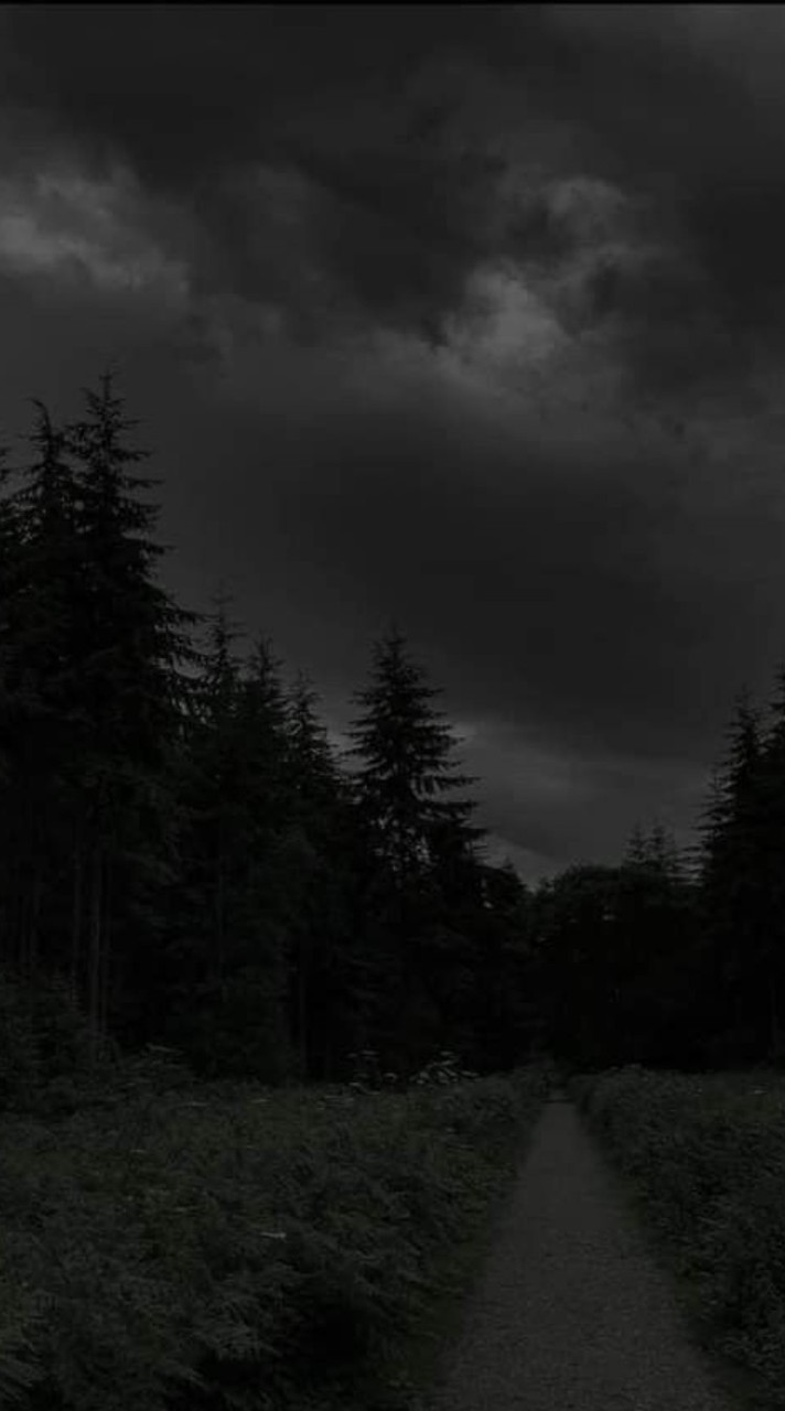 ◄◤𓆩༺ARTIST GROUP༻𓆪◥►