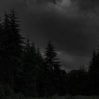 ◄◤𓆩༺ARTIST GROUP༻𓆪◥►