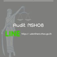 Audit  NHSO 8